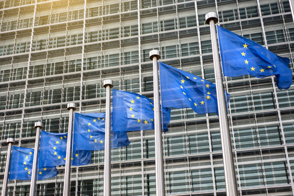 European Union flags in front of an institutional building, symbolizing the European Accessibility Act.
